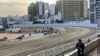 ショウナンナデシコ 名馬誕生の予感 エンプレス杯2022現地映像