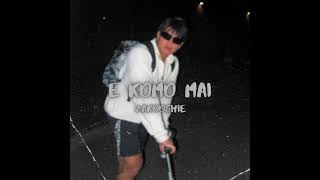 E komo Mai - Zakoochie