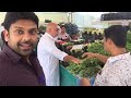 vegetable market in qatar al wakrah yard