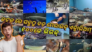 STATE MARINE AQUARIUM IN CUTTACK ODISHA || 1080p ||ସାମୁଦ୍ରିକ ମାଛ ମାନଙ୍କର କଚବକ୍ସ ରେ ତିଆରି ହେଇଥିବା ଘର.