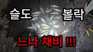 ‼️이거 하나면 볼락 느나‼️슬도 볼락 학살채비