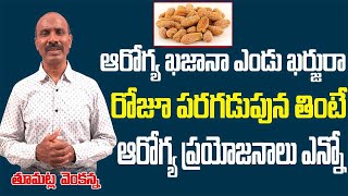 ఆరోగ్య ఖజానా ఎండు ఖర్జురా|Health Benefits of Dry dates in Telugu : T Venkanna || Heathbhumi