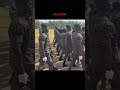 Slow  drills- Ghana Immigration Service #shorts #tiktok #ghana #trending