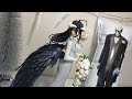 Overlord - Albedo - F:Nex - 1/7 - Wedding ver (FuRyu) Unboxing and Review