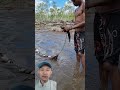 Di Merauke kalau musim kemarau ikan tinggal ambil #shorts