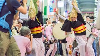 舞蝶連 高円寺阿波おどり ふれおどり 2015