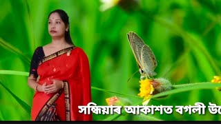 সন্ধিয়াৰ আকাশত বগলী উৰে. আৱৰণ.. মিতালী বৰগোঁহাই গগৈ.