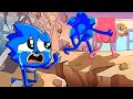 SHIN SONIC TAPES: AMY Was Secretly a CRIMINAL! | Sonic the Hedgehog 3 Animation🌟