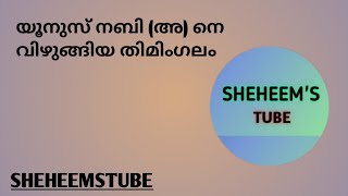 യൂനുസ് നബി (അ) നെ വിഴുങ്ങിയ തിമിംഗലം l sheheemstube l