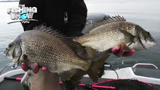 Big Bream Tactics