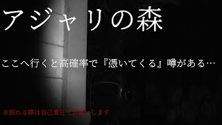 【心霊】丑三つ時にアジャリの森を心霊散歩したら霊が進路相談に乗ってくれた【スピリットボックス】