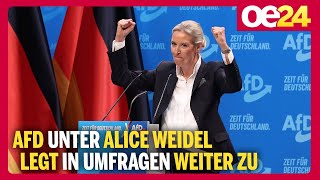 AfD unter Alice Weidel legt in Umfragen weiter zu