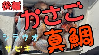 （後編）鯛サビキで真鯛がよく釣れました。