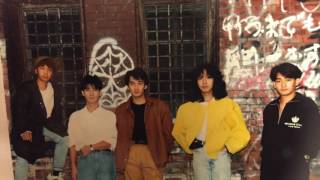 80’ 90’ Japanese city pop /少年のプライバシー / NEVERLAND / DANG DANG PRESENTS SPECIAL CD ①