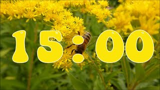 πΈ 15-Minute Spring Timer π | Relaxing Bee Animation & Calming Music πΏπΆ