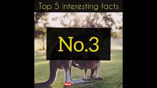 99% মানুষ এগুলো জানেনা | unknown bangla facts | top 5 interesting facts| #shorts #factprithibibangla