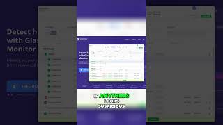 See Every App Using Your Internet