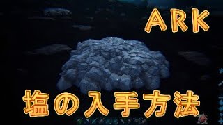 【ARK】フィヨルドMAPにて塩の入手方法を紹介します！【フィヨルド】