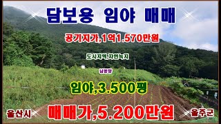 물번,631번) 담보용,임산물재배,임야,3.500평 도시지역,자연녹지지역, 공시지가,1억1.570만원  매매가,5.200만원 도심과 가깝습니다, 매우 싸게 나온 담보용임야 입니다,