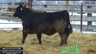 Lot 116