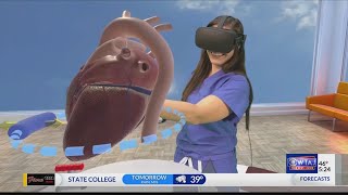 Creating a virtual heart