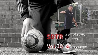 SDTR Vol.36 パス（キック）編①