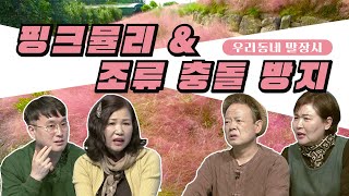 [#우리동네말장시] 제주 환경 이슈_핑크뮬리 \u0026 조류 충돌 방지