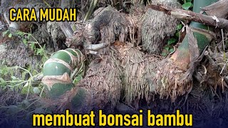 CARA MUDAH MEMBUAT BONSAI BAMBU !