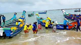 പരപ്പനങ്ങാടിയിൽ ഇങ്ങനെ മീൻ പിടിച്ച കാലം മറന്നു പോയി 😀 കിലോ 20 രൂപ ബോക്സ് 1200 സബ്സ്ക്രൈബ്