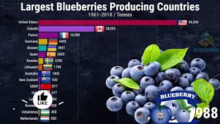 Largest Blueberries Producing Countries in the World