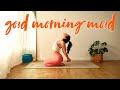 Good Morning Mood ☀️ 20 Minute Stretchy, Simple + Sweet Morning Yoga Practice