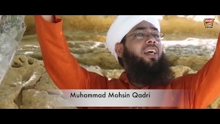 Muhammad Mohsin Qadri - Ali Maula - 2016