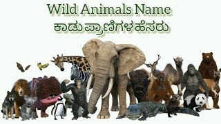 Wild animals names with pictures | 30 wild animals name in English and Kannada | ಕಾಡು ಪ್ರಾಣಿಗಳ ಹೆಸರು