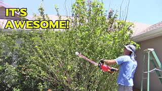 Major Hedge Trimming with the Powersmart 20V Cordless Hedge Trimmer