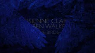Josienne Clarke & Ben Walker - The Cuckoo ( Audio)