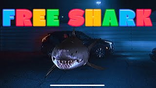 YBC POOH X LIL DASH - FREE SHARK ( official video)