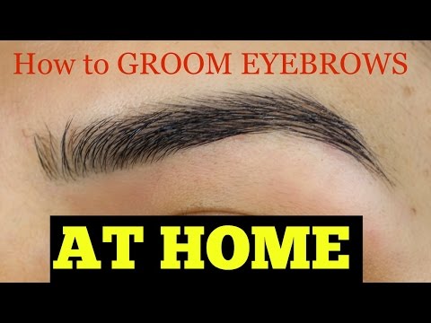 How to Groom Eyebrows AT HOME How to Groom Eyebrows AT HOME