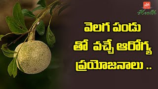 Health Benefits of Wood Apple in Telugu I Velagapandu Uses | Wood Apple For Health | YOYO TV Health