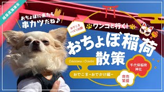 【犬とおでかけ】ワンコと行く!おちょぼ稲荷散策♪(岐阜県海津市)