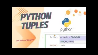 #14 Basic Python Tutorial For Beginners 🔥 topic - tuple datatype