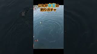 【海上釣堀】これが伝説の釣りガチャ【水宝】　#shorts