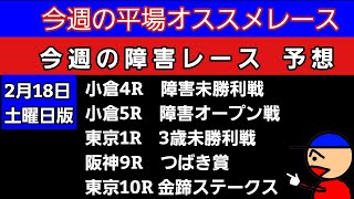 [平場オススメレースと障害レースの予想と買い目]2月18日土曜日版 つばき賞　金蹄ステークス　3歳未勝利戦　障害オープン戦　障害未勝利戦