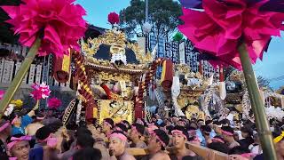 播州祭馬鹿紀行　令和6年度　小芋祭り　荒川神社　本宮　西庄VS井ノ口VS岡田　播州秋祭り