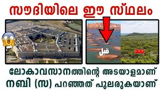 സൗദിയിലെ പച്ചപ്പ് 😳ലോകാവസാനത്തിന്റെ അടയാളം! | marhaba media