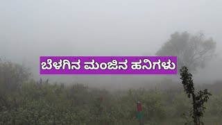 ಬೆಳಗಿನ ಮಂಜಿನ ಹನಿಗಳು🌨️