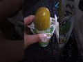 Warheads Pickle Review