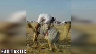 Arabic Funny Video Collection || Failtastic 2017