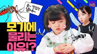 윙윙~ 여름이면 나타나는 무서운 모기!ㅣ9회 모기에 잘 물리는 이유ㅣ어린이 뉴스 뚜뚜ㅣKBS 200714 방송
