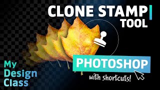 This Tool Changed my Relationship with Photoshop