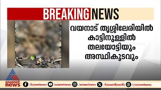 കാട്ടിനുള്ളിൽ തലയോട്ടിയും അസ്ഥികൂടവും; പഴക്കമുള്ള അസ്ഥികൂടം കണ്ടത് തൃശ്ശിലേരിയിൽ